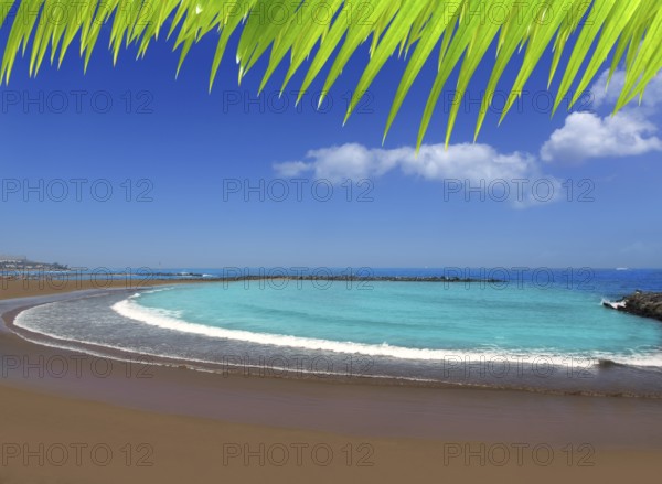 Adeje coast Las americas Beach in south Tenerife at Canary Islands
