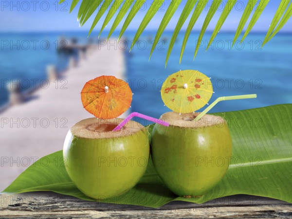 Coconut straw cocktails in tropical caribbean sea pier