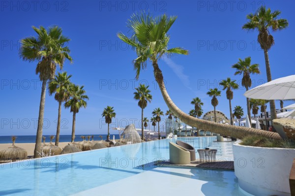 Vacations resort with pool and palm trees in Mediterranean beach