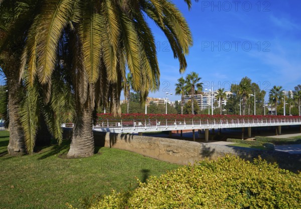 Valencia Puente de las Flores flowers bridge in Spain