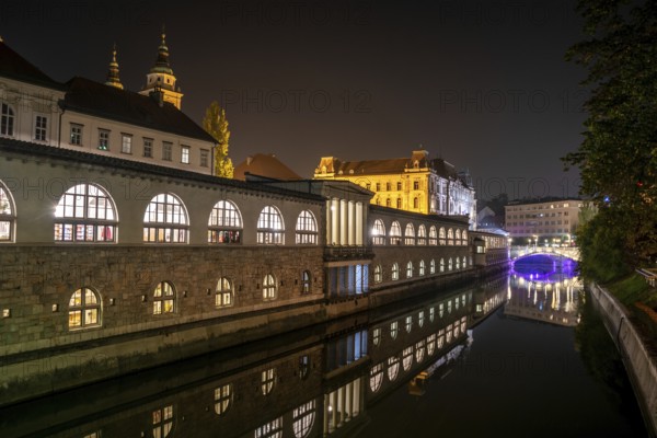 Iconic building of the central market in Ljubljana illuminated at night, the bridge of Preseren sqare in the background, Slovenia, Europe
