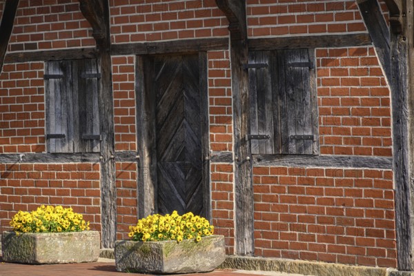Detail of a brick wall with wooden framework elements and two flower boxes with yellow flowers, wüllen, münsterland, germany