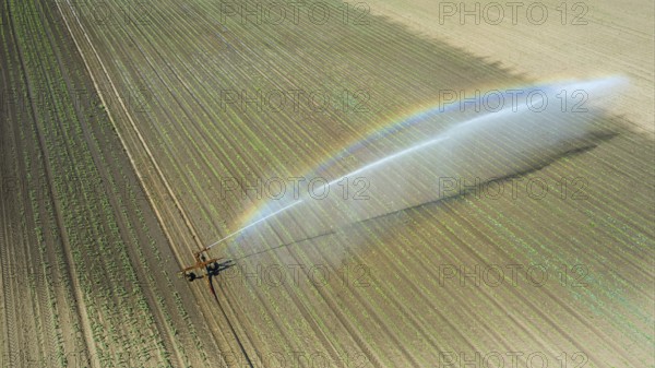 Irrigation equipment watering field. Aerial view. Irrigation of a young plants