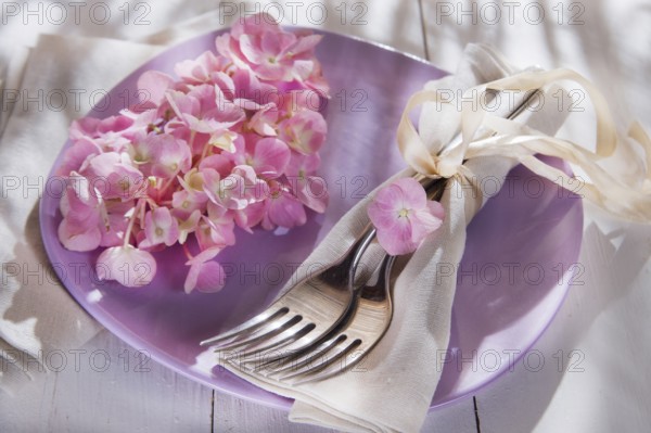 Using the hydrangea flower for the preparation of the table