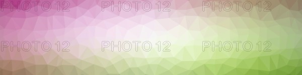 Illustration of a modern low poly background