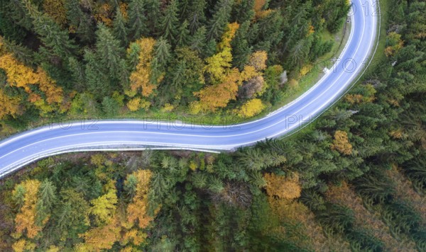 Road through the forest, top view, from a bird's eye view of a quadcopter