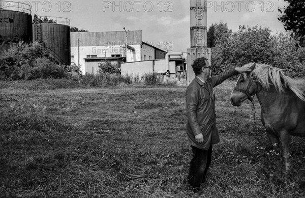 Germany, Trinwillershagen, 16.9.1991, old LPG plant, horse in the Walter_Ulbricht_Vorzeigedorf Trinwillershagen, vegetables, Europe