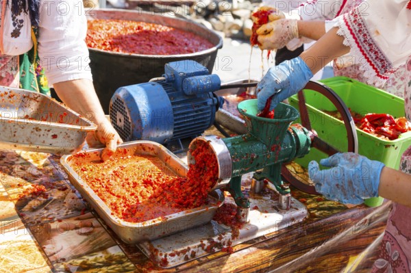 Ajvar (Ljutenica) is a pepper-based condiment made principally from red bell peppers. It may also contain tomato, garlic, eggplant and chili peppers