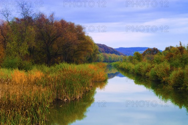 Autumn park with river is running down in autumnal forest