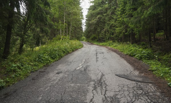 Worn asphalt forest road, trees and grass on both sides, Pribylina, Slovakia, Europe