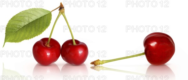 Fruit 702