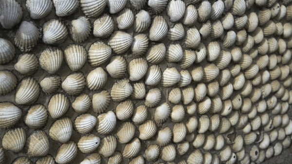 Tazones shells facades of Asturias in Spain