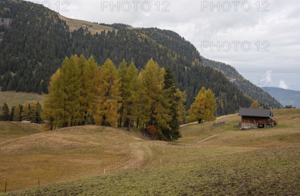 Wooden travel cabin tourist houses outdoor in the hill. Alpe di siusi Seiser alm Italy