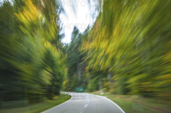 Speed on the street with autumnal surroundings and colourful leaves. Motion on the street in autumn time