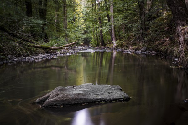Autumn magic in the Georgewitzer Skala/ Löbauer Wasser 1