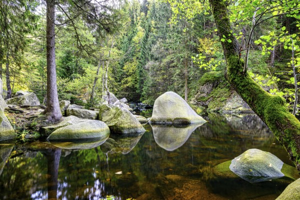 A peaceful scene with large stones in the river bed of the Engagement island in the Oker in the Harz Mountains