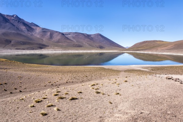 Lagunas Altiplanicas, Miscanti y Miniques, amazing view at Atacama Desert. Chile, South America