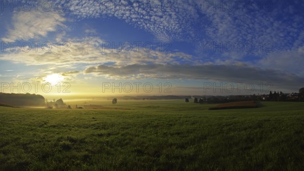 Morning atmosphere in the Altshausener Ried