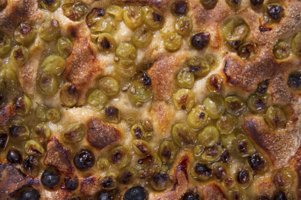 Sweet typical Tuscan focaccia with grapes strawberry white