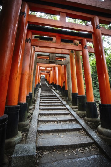 Red Tori Gate at Fushimi Inari Shrine in Kyoto, Japan. One of the largest tourist attractions in Japan