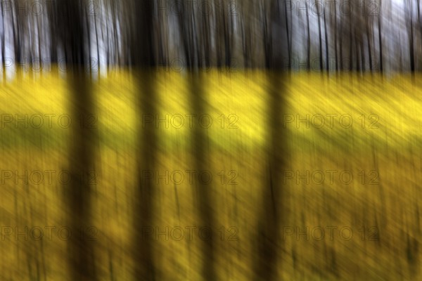Traumatic landscape