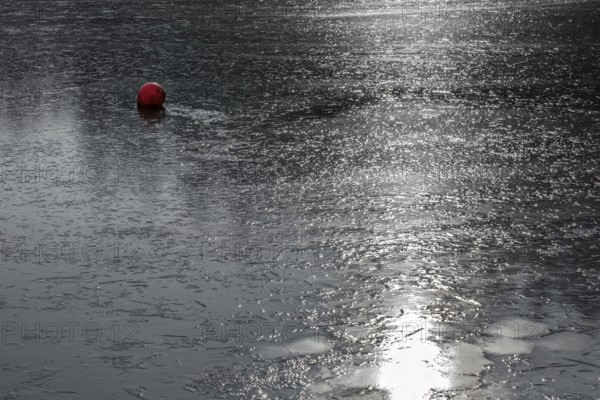 Frozen lake, structures of the water surface