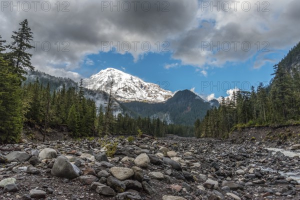 Great view on Mt Rainier from Nisqually river, USA, North America