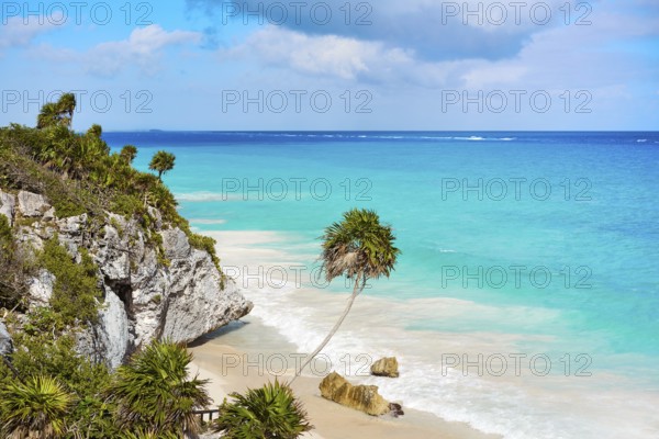 Tulum turquoise beach palm tree in Riviera Maya at Mayan Mexico