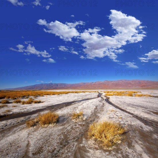 Death Valley National Park California Badwater salt soil desert