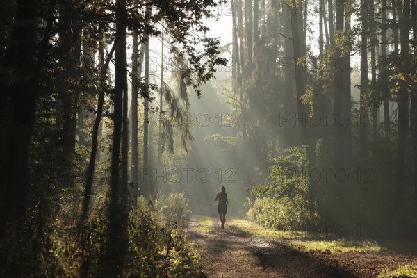 A man runs along a forest path on a foggy morning