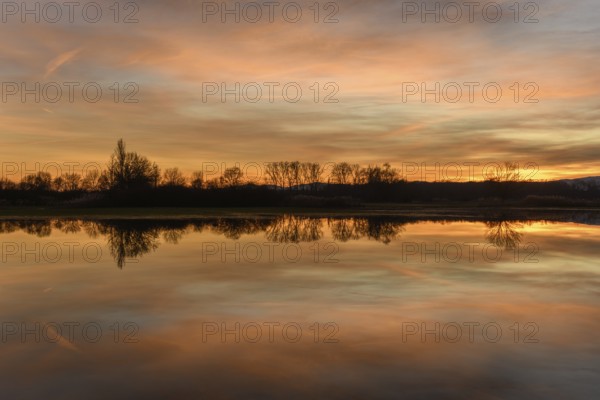 Trees reflecting in the water at sunset. Winter landscape red and orange sky. Bas-Rhin, Alsace, Grand Est, France, Europe