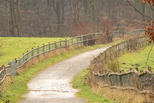Peaceful countryside landscape featuring a winding gravel path, wooden fences, and lush green fields, creating a tranquil and inviting scene