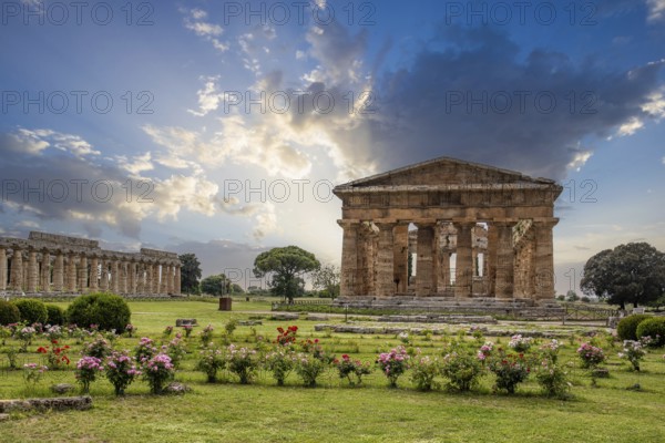 Beautiful old historical centre with ruins. Evening sunshine and the Temple of Athena in Paestum, Salerno, Italy, Europe