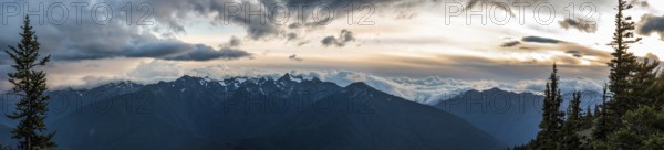Alpine landscape in the Olympic National Park, Washington State, USA, North America