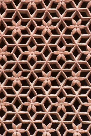 Lattice window, junagarh fort, bikaner, rajasthan, india, asia