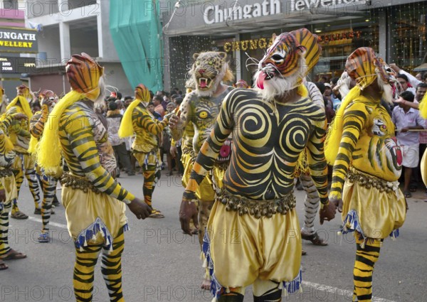 Trained dancers with their carefully painted bodies guise of tigers perform the famous Pulikali the streets of Thrissur Kerala