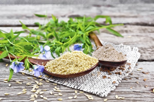 Flax bran and flour in two spoons on a burlap napkin, linen leaves and flowers on a wooden board background