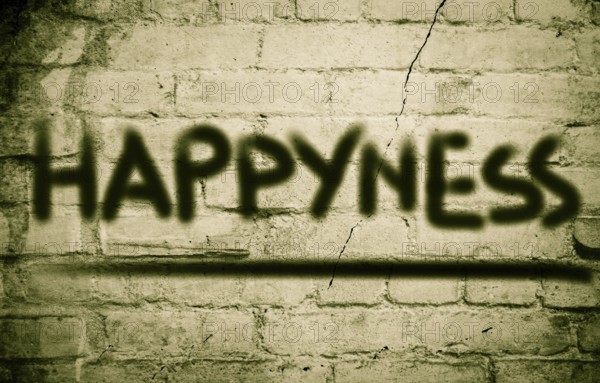 Happyness Concept