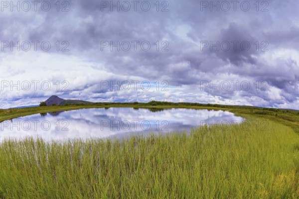 Small lake surrounded by green meadow. In the smooth water of cold lake reflects cloudy sky. Summer Iceland