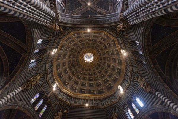 SIENA, ITALY, SEPTEMBER 23, 2023, Ceiling of the cupola in the cathedral of Siena, Italy, Europe