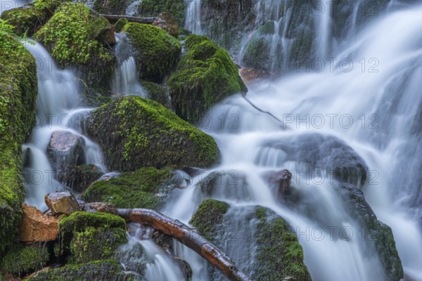 Fresh and beautiful waterfalls in a mountain torrent in spring. La Serva, Champ du feu, Vosges, Alsace, France, Europe