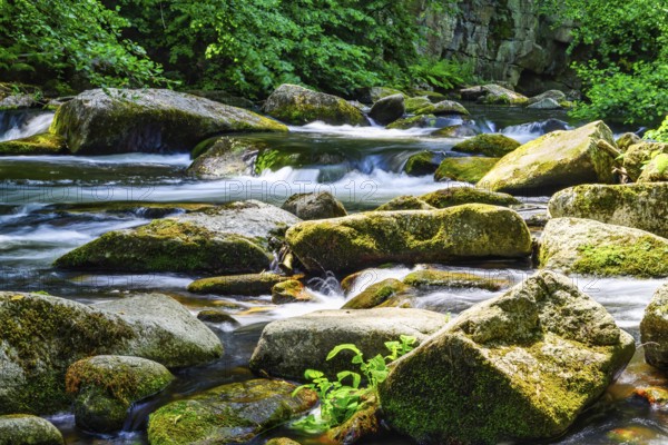 A view of the Bode riverbed in the Harz Mountains in glorious sunshine