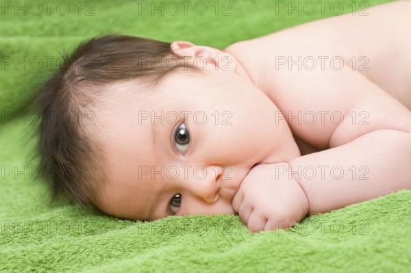 A one month old caucasian brunette baby