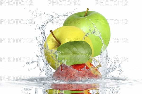Fruit 359