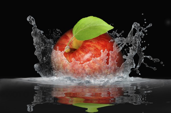 Fruit 453