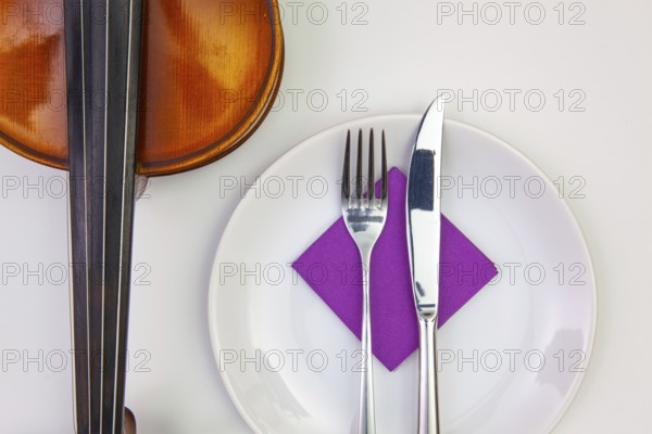 Symphony of taste. White plate and old violin on the white wooden table.Top view. Flat Lay Image