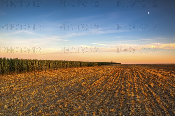 Lookout tower between corn field and empty field after harvesting. Panorama picture with mowed wheat field under sunny day. Czech Republic.HDR Image