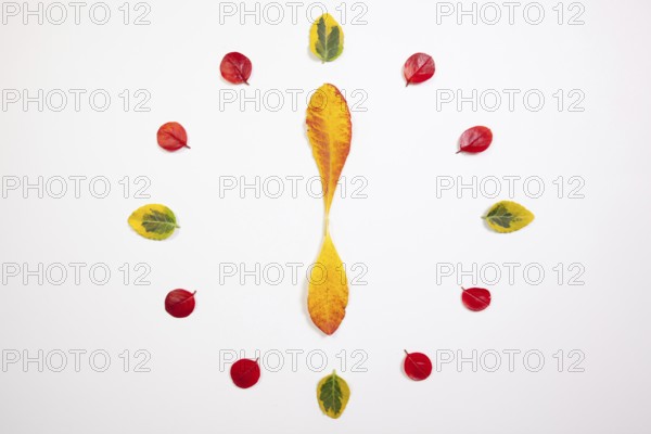 Autumn Time - Clock of autumn leafs