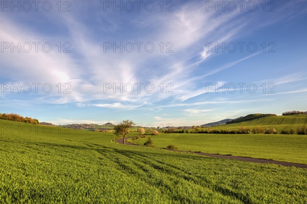 Spring fields in the Central Bohemian Uplands, Czech Republic. The Central Bohemian Uplands (Ceske Stredohori) constitute a protected landscape area in North Bohemia