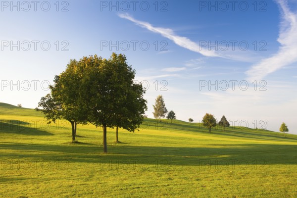 Misty morning on a empty golf course